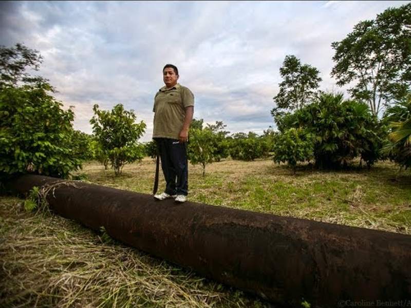 Servio Curipoma: Cacao Farmer from the Ecuadorian Amazon vs. Chevron